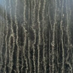 Photograph of Black woman's locs.