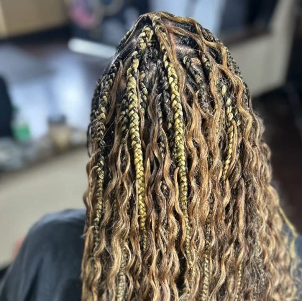 Back view of a person’s head showcasing a bohemian braided hairstyle with a mix of blonde and dark brown tones. The hair features individual box braids interspersed with loose, wavy strands, creating a textured and free-flowing look.